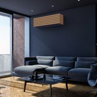 Salon bleu avec canapé, bibliothèque et un climatiseur