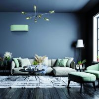 Salon bleu avec meubles vert et climatiseur vert