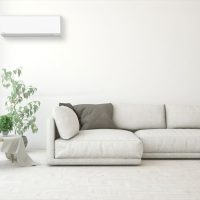Salon ave canapé et climatiseur blanc et plante verte